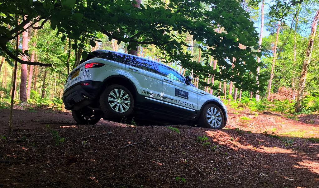 Rob Lewis tweet media