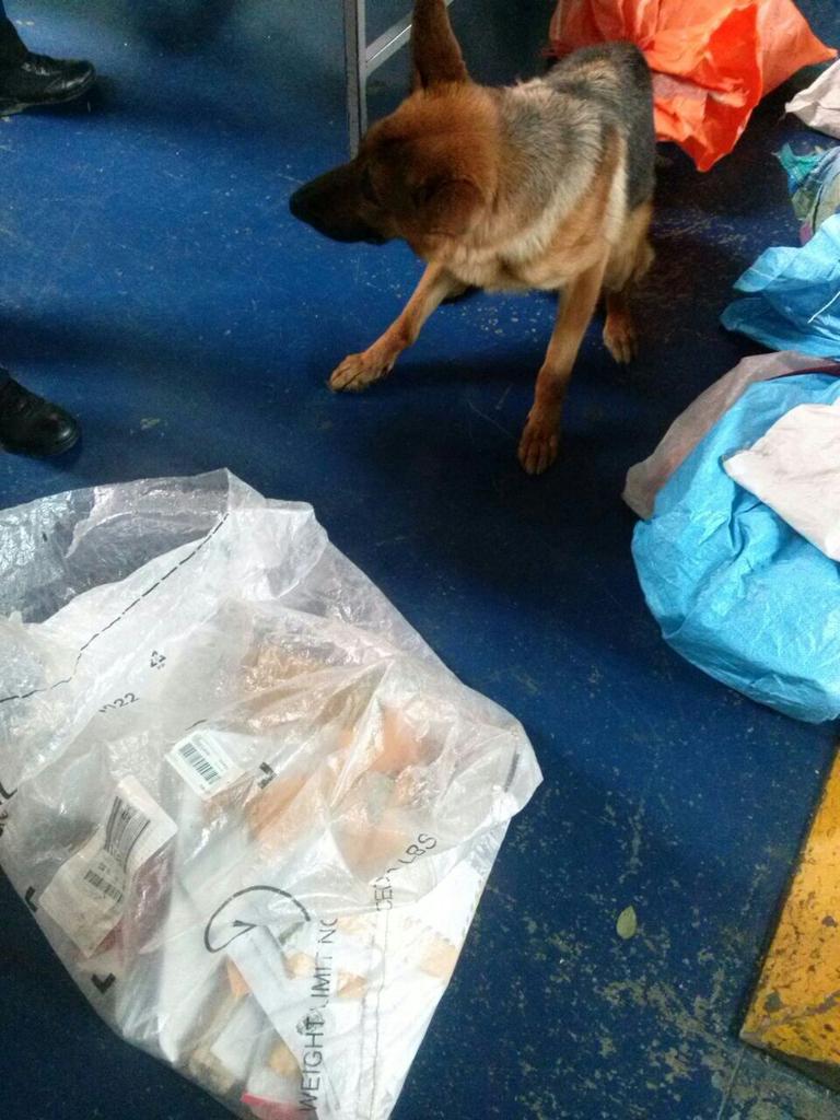 MinGobiernoEc's tweet photo. Can #Britus frustró el envío de encomienda contaminada con 260gr de cocaína con destino a España. @Correos_Ecuador http://t.co/MOoqwdBKnb