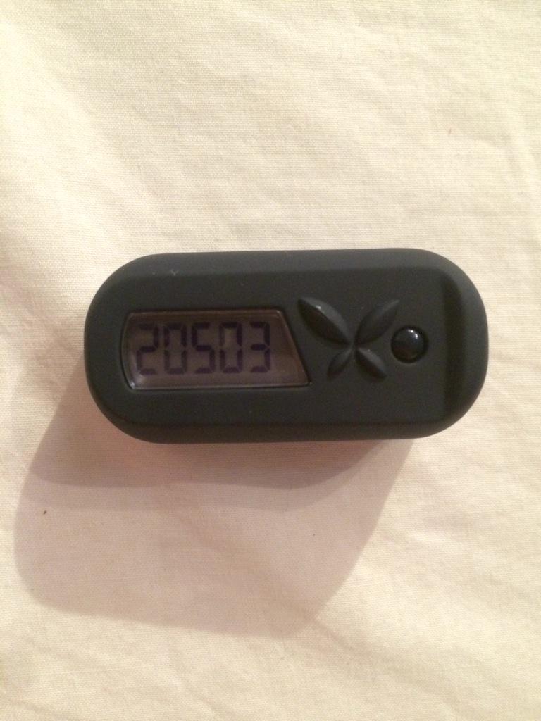 pjjdalton's tweet image. @GCChealthyppl Day 1 down and not a bad start to #GCC2015 #stepstep