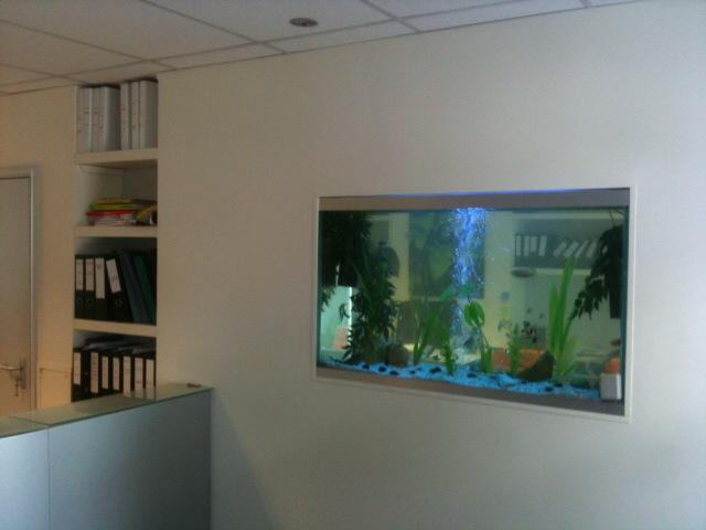 The_Fish_Doctor's tweet image. Futuristic modern aquarium to fit well within its surroundings #aquarium #lifestyle
