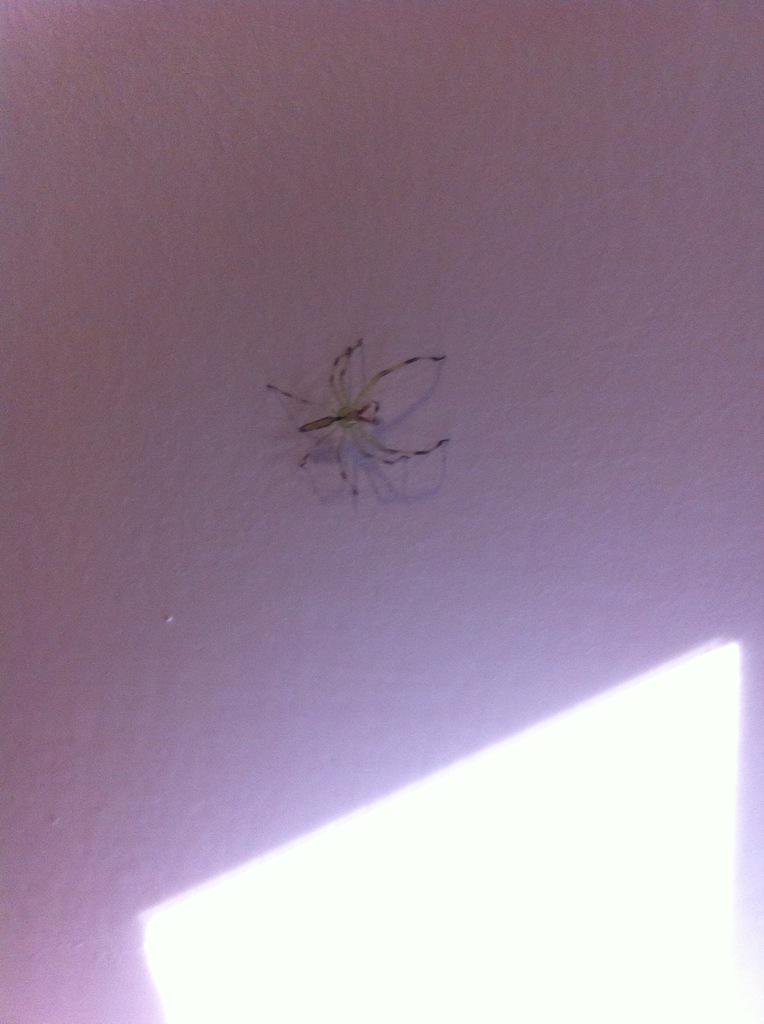 Um oh HELL NO!!! DEMI!!!! @iDemiLovatoFake