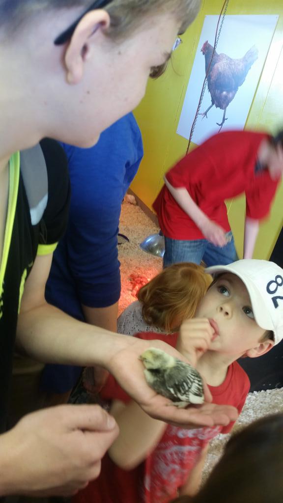 What a Great Day #SuffolkShow