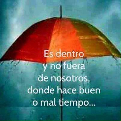 Nikgaturro's tweet photo. Así es http://t.co/9bYHdRTLmX