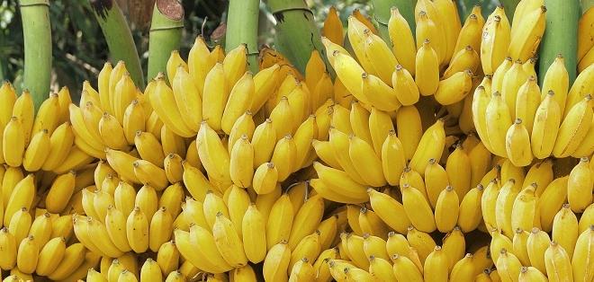 BayasSilvia's tweet photo. Ecuador promociona su banano en China http://t.co/zvnWIKX52g