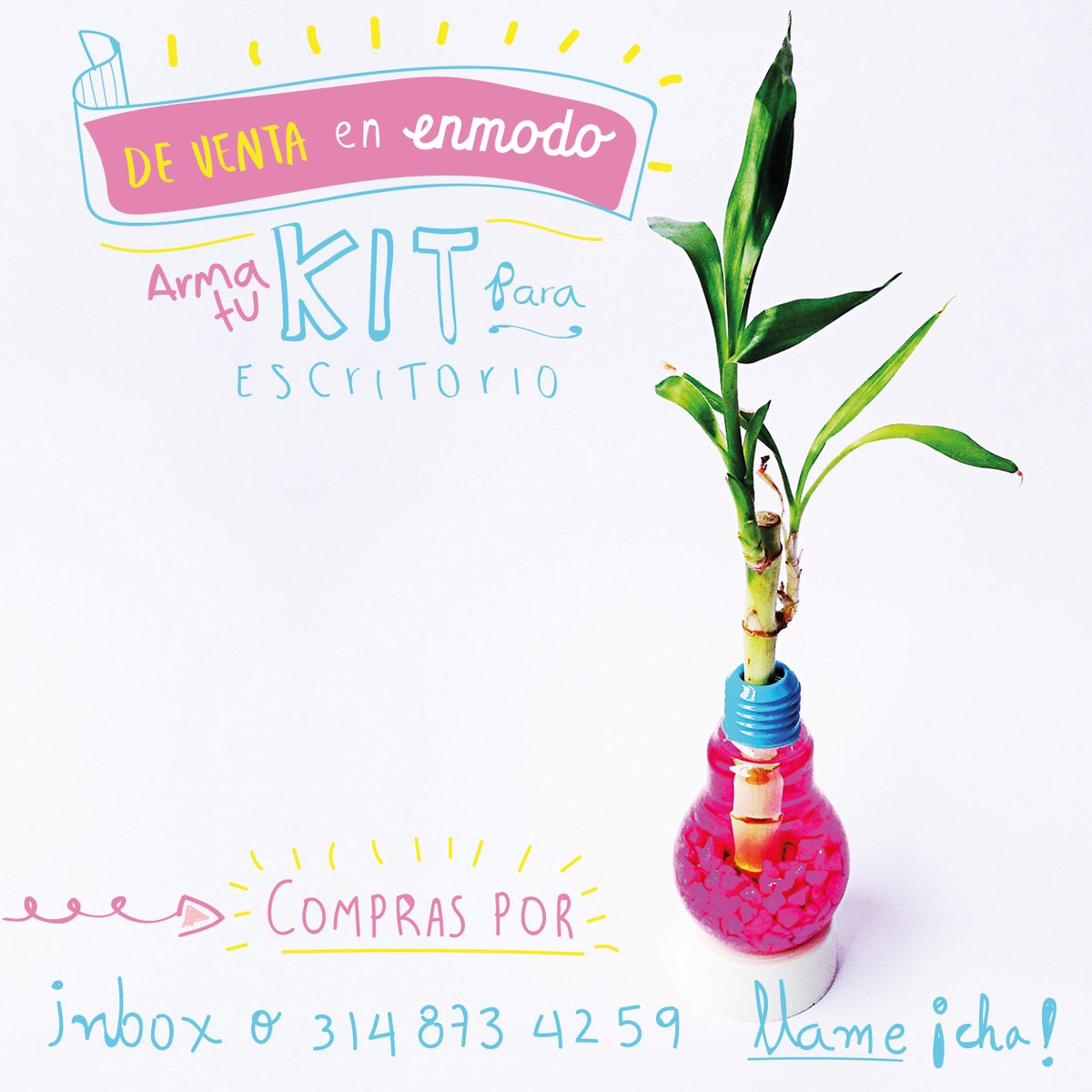 _enmodo's tweet image. En Enmodo puedes armar tu kit &amp;gt; LIBRETA + PLANTA &amp;lt; Y dale un estilo diferente al lugar de trabajo!