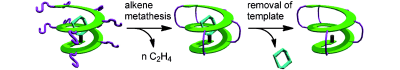 ChemEurJ's tweet image. Hajime Abe et al. @univ_toyama on Chiral Helix #Stapling of Ethynylpyridine #Oligomers doi.org/f2737w