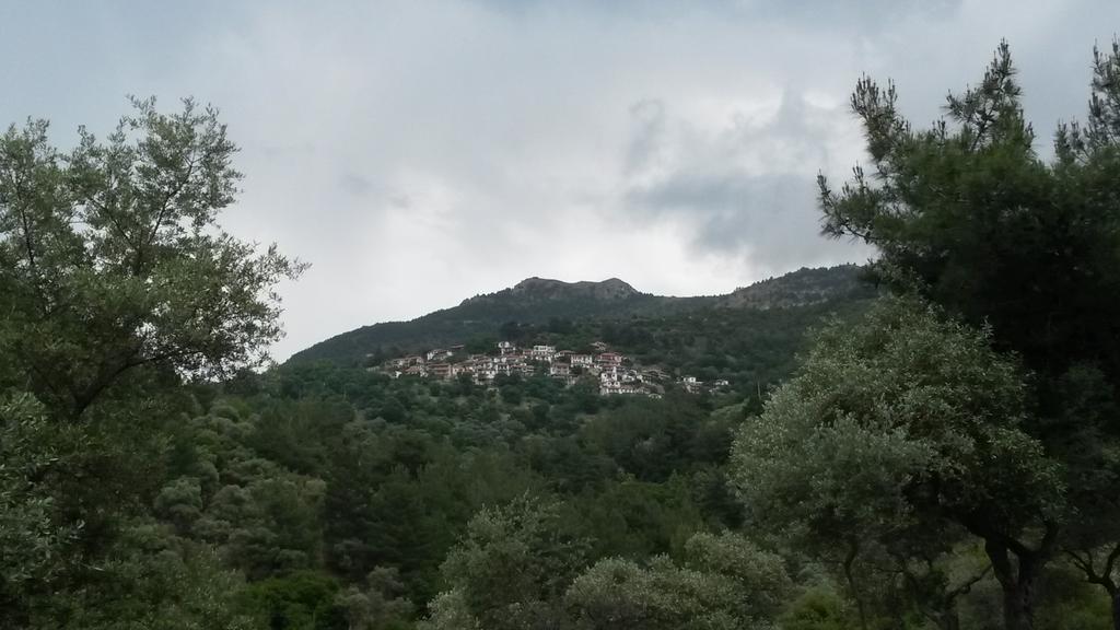 Silviatave's tweet photo. Oggi son capitata per caso a #Sotiros, un piccolo villaggio nell'interno di #Thassos. Incantevole 😊
#tastingGrecia http://t.co/zSRI2WZoOz