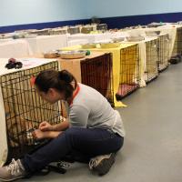 Mix947Austin's tweet photo. Many homeless animals due to the storms/flooding @austinhumanesociety needs help http://t.co/nbXulvyFTJ @MIX947AUSTIN http://t.co/Ec32FO9kga