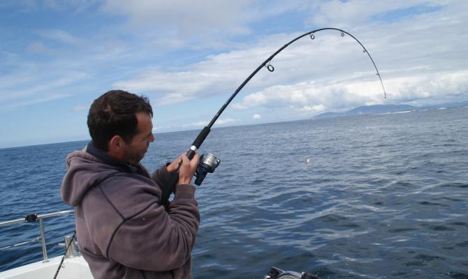 FreedomBoating's tweet image. Have you ever fished from a boat? #boating #fishing #boat