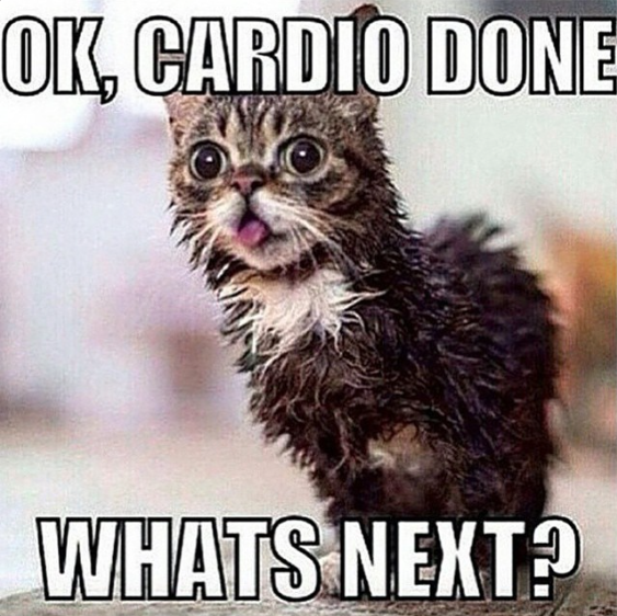 MichaelWoods's tweet photo. New tracks added to my cardio workout @Spotify playlist! Get up and get it done! http://t.co/WigM8KC6ot http://t.co/8AKlTDcaNK