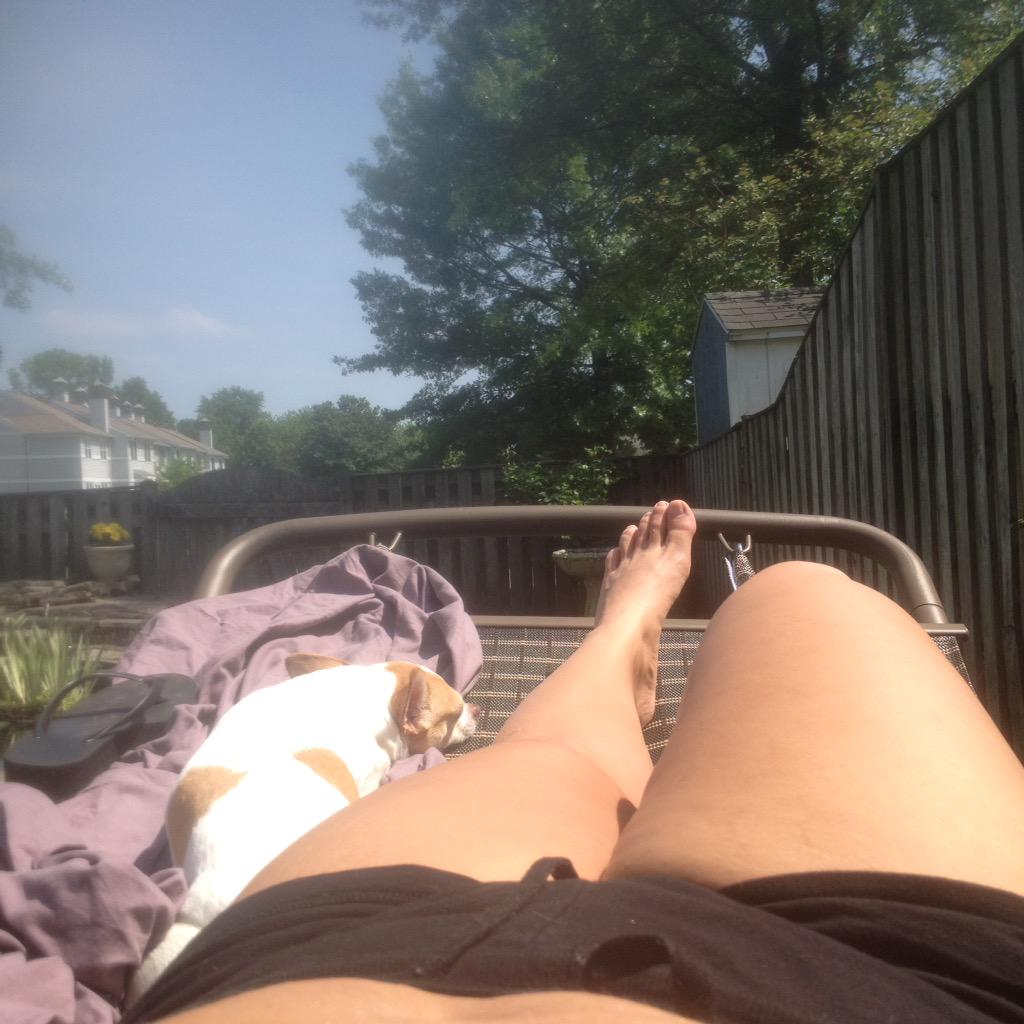 squirrely_BG's tweet photo. Chacha and I, enjoying a staycation on our new hammock! http://t.co/tvruXz6oNG