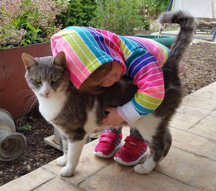 EbruDalci's tweet image. #CatAddiction Good boy ;B-)