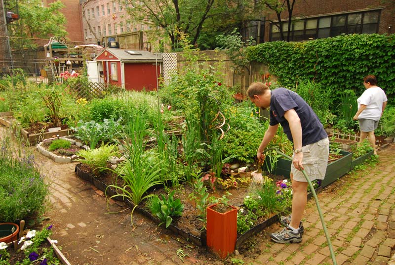DaniNierenberg's tweet photo. Why community gardens are good ideas: 
http://t.co/xuqV5vI20X @theluketsai @EastBayExpress http://t.co/2M05y8dyEt