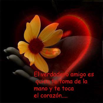 #LaHoraMagica485