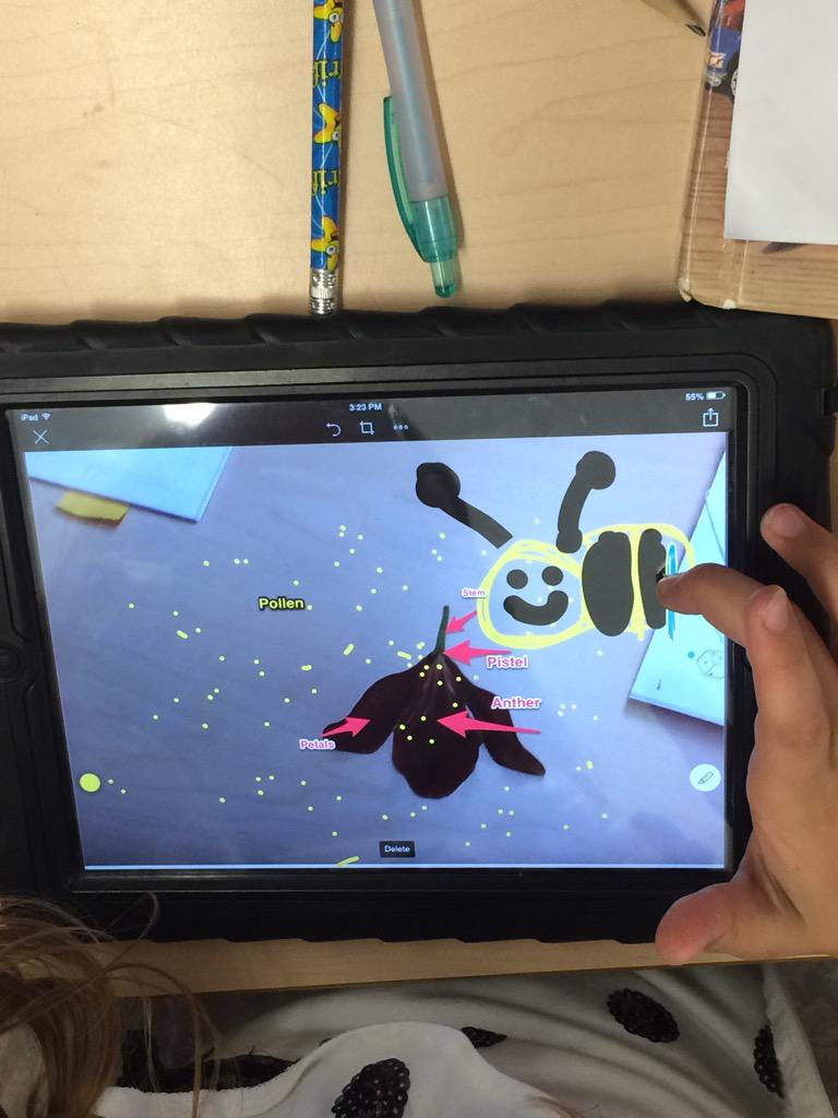 Mrs. Lucas' Owls tweet media