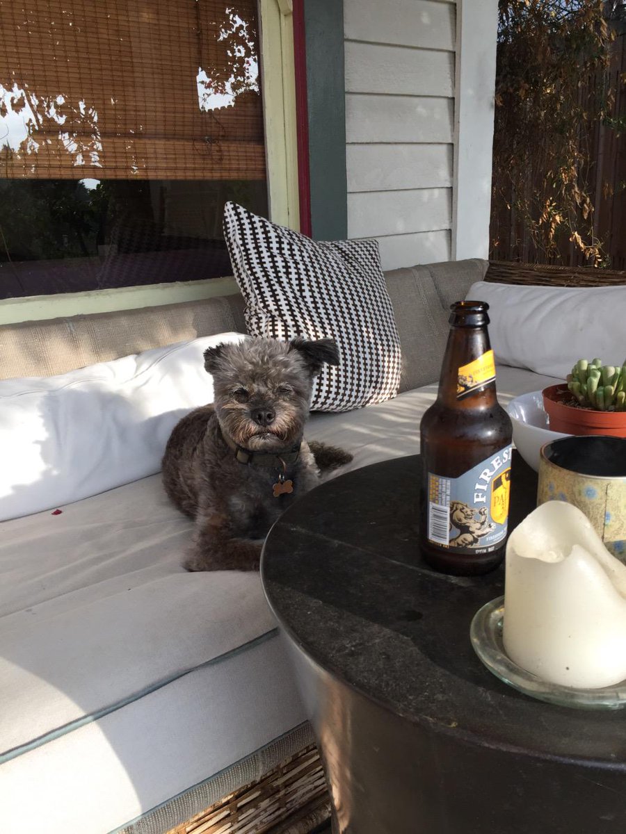 marlondogLA's tweet photo. A dog and his beer. Everyone, welcome @marlondogLA! http://t.co/XvZ9grehaG