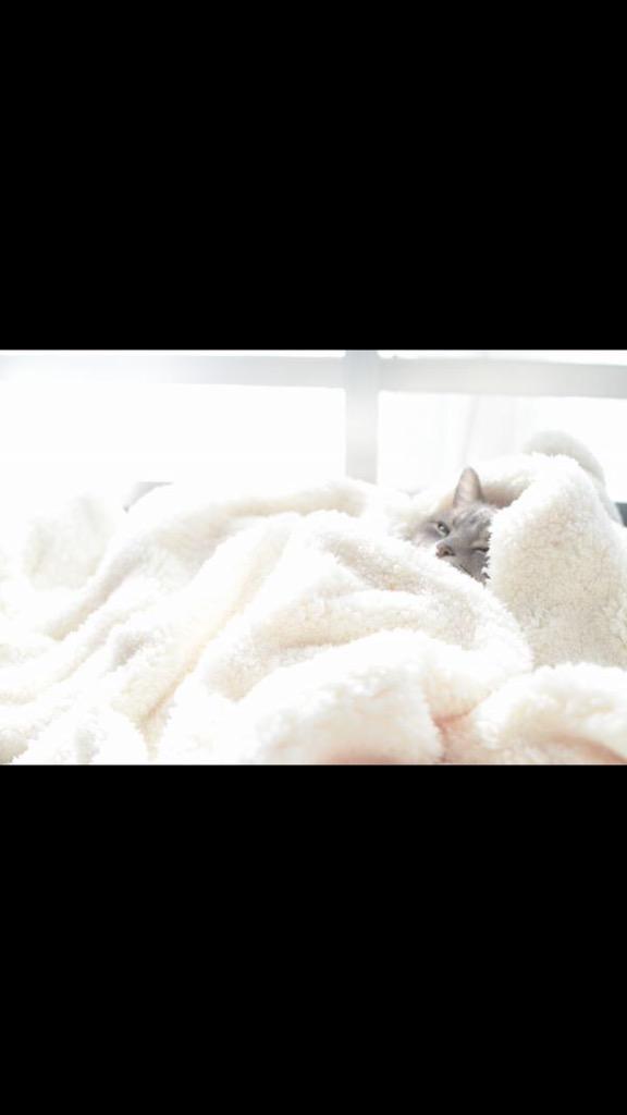 WelcomeToMehdi's tweet photo. Moi quand j'essaie de sortir du lit le matin http://t.co/Q4Mfd4L3gj