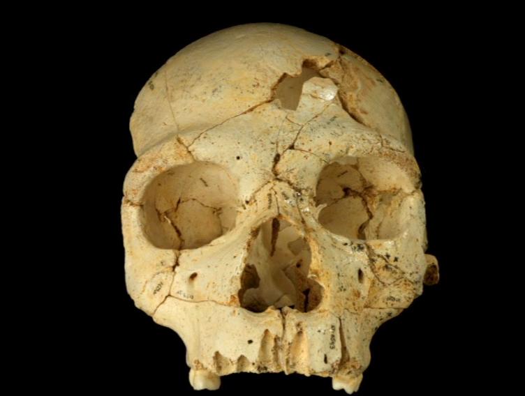 A3Noticias's tweet photo. El primer asesinato demostrado de la Historia tiene 430.000 años de antigüedad
http://t.co/81CFWbUszP http://t.co/NGMeIKMLno