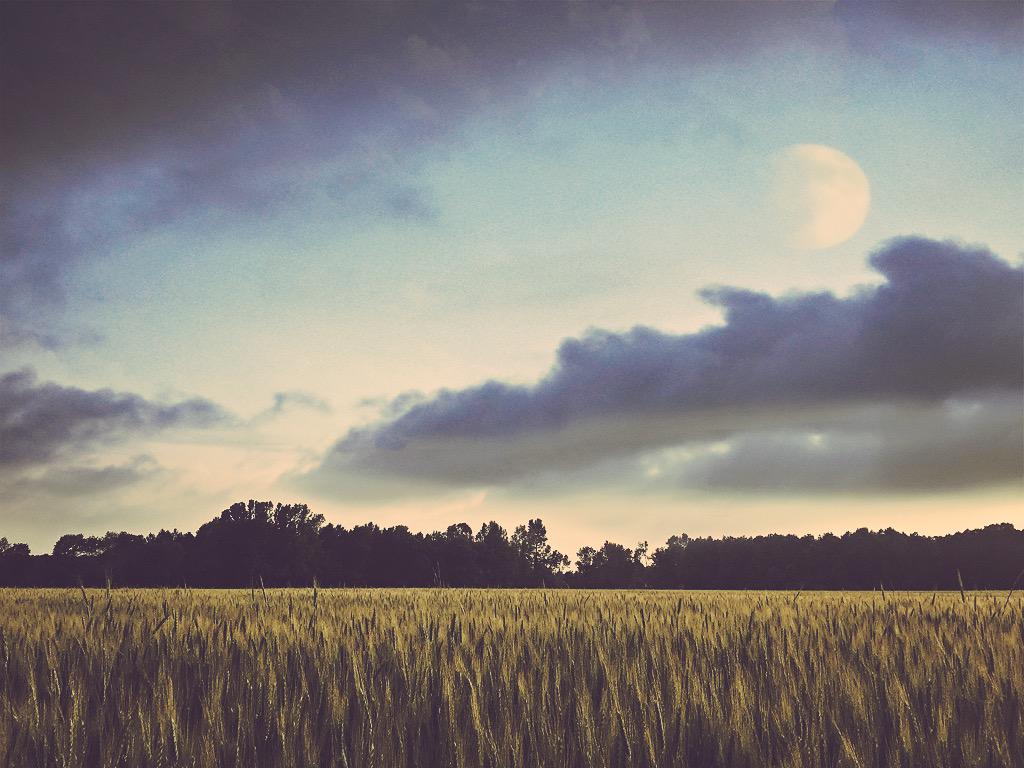 cghines's tweet photo. Been playing with overlays and old pics🌜⭐️✨🌾 http://t.co/8Ktuw06eos