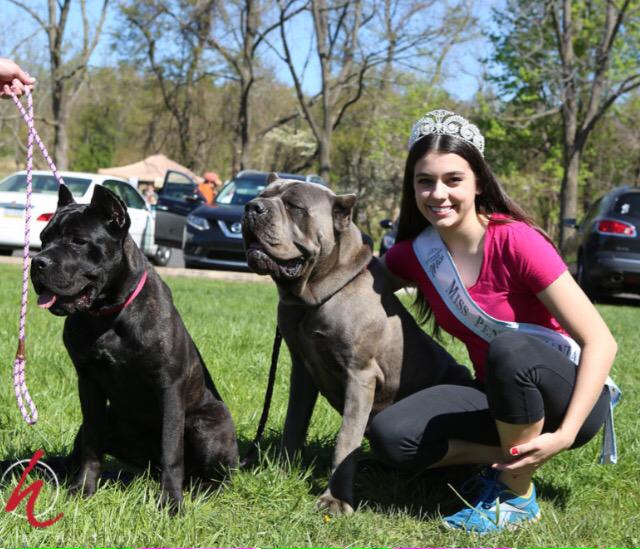 NorwesterReaders tweet media