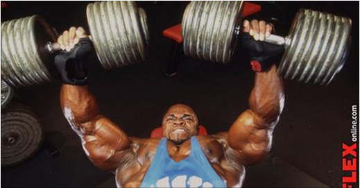 FLEX_Magazine tweet picture