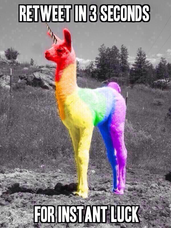 frostycameron's tweet photo. I SWEAR THIS SHIT FUCKING WORKS IM NOT EVEN JOKING http://t.co/RxjuhVwWXT