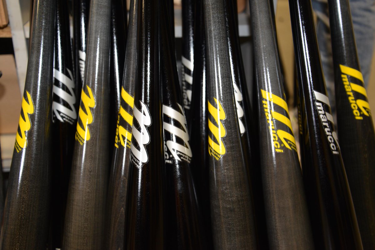 marucci rake maple bat