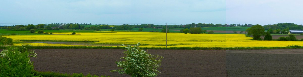 Developers say no impact on views for homeowners. Pic tells a different story Anything in yellow is the proposed site