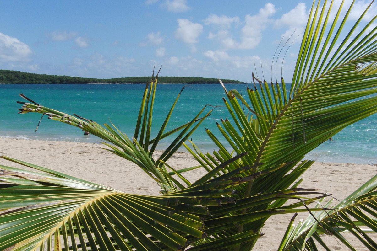 SimoneMimo's tweet image. le vostre spiagge preferite? tweetate una foto con hashtag #labellaspiaggia ecco le nostre goo.gl/a1sZyy