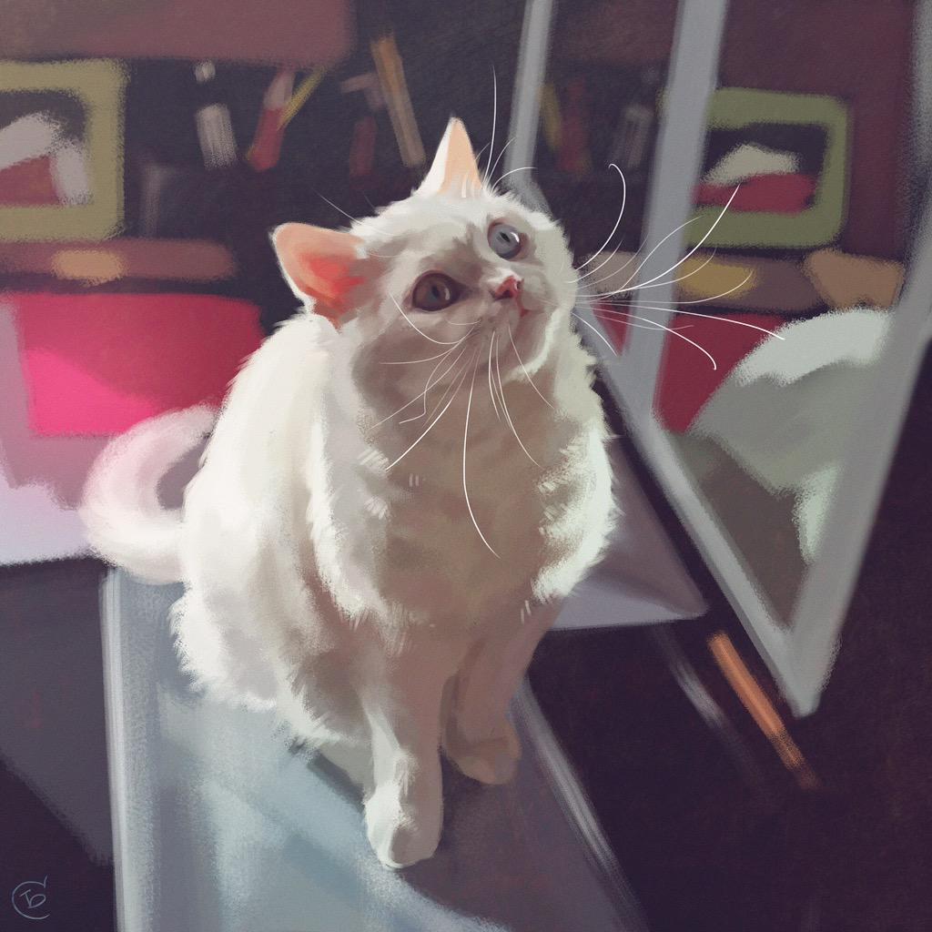 SimulatorSim_'s tweet photo. #cat #MyWork #MyArt #Sketch #Study #DigitalArt #Art #SimulatorSim #mycat #Illustration #drawing #Painting #кошка http://t.co/bHB09kXkng