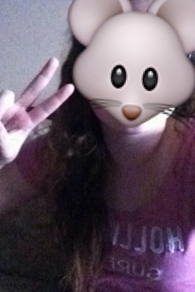 _amandabrock's tweet photo. @WormsteinRabbi #AskRabbit can I be part of the band? 🐭 http://t.co/bDgK0XGHbu