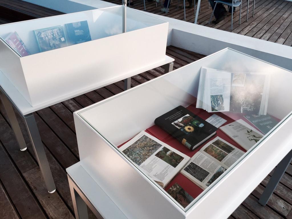 estodotuyo's tweet image. Fantastica charla e inauguración de la #expo sobre Plantas Silvestres de #GranCanaria hoy en @BibliotecaInsul Gracias