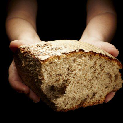 DrHikov's tweet photo. Bread quality gene discovered by @QAAFI scientist Prof Robert Henry - Read more: http://t.co/GGoCNUzD8V #UQ #science http://t.co/paj9vrXfAF