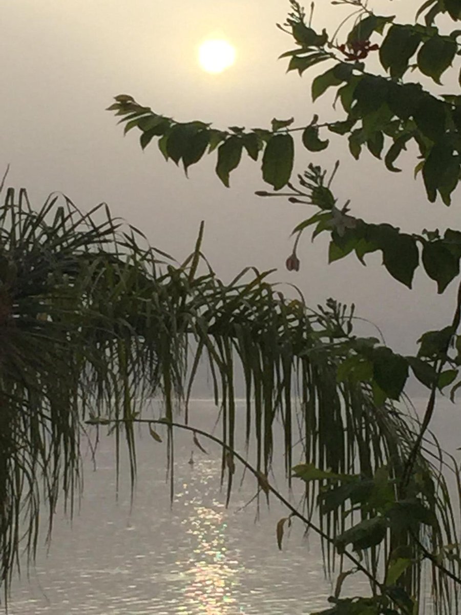 Gilbert Lumoindong tweet media