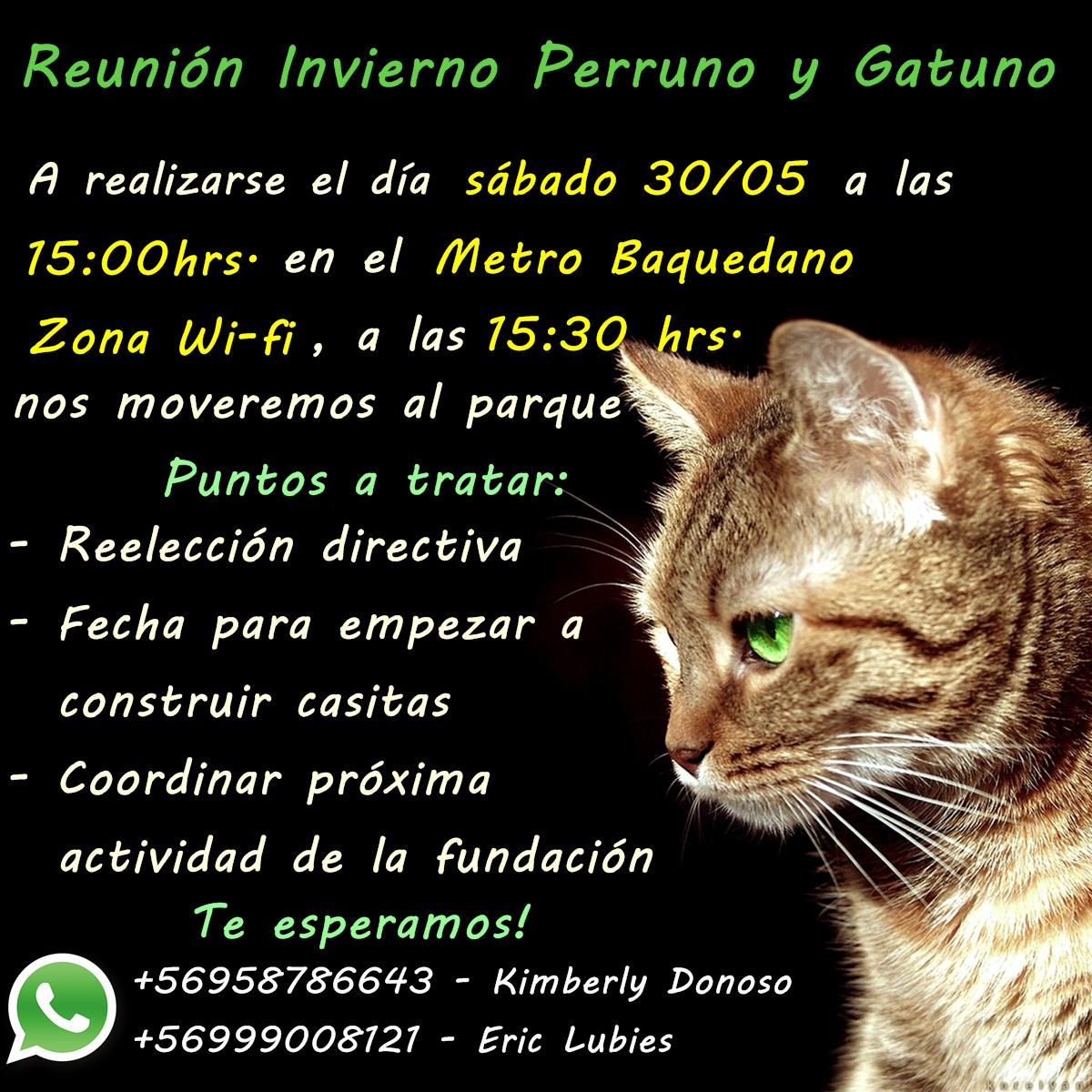 InviernoPyG's tweet photo. Los esperamos allá! RT @jananeme @KathySalosny @incond_gob  @fund_quiltro  @SOS_Animales @PetsLab_antof @DogChowChile http://t.co/BE3YjhIyQZ