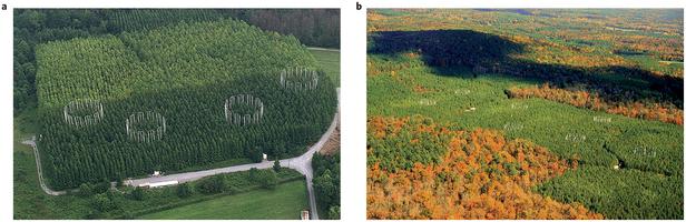 Now in NatureClimate - Using ecosystem experiments to improve vegetation models bit.ly/1POCliq
