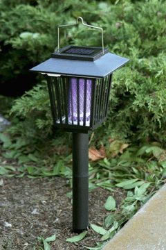 solargardenplus tweet picture