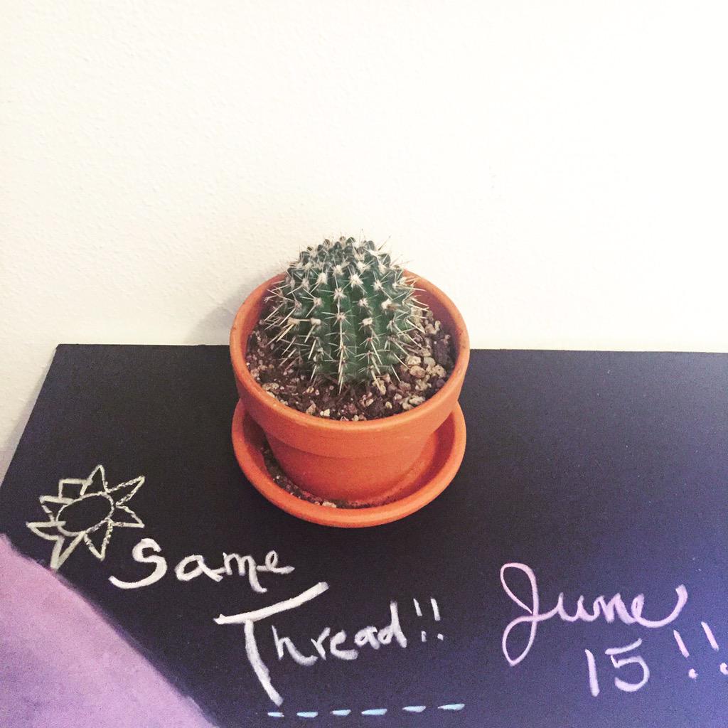 SameThread's tweet photo. Some cheerful deadline reminders around our workspace. #samethread launches our first collection for sale on June 15! http://t.co/yu3so1aaaZ