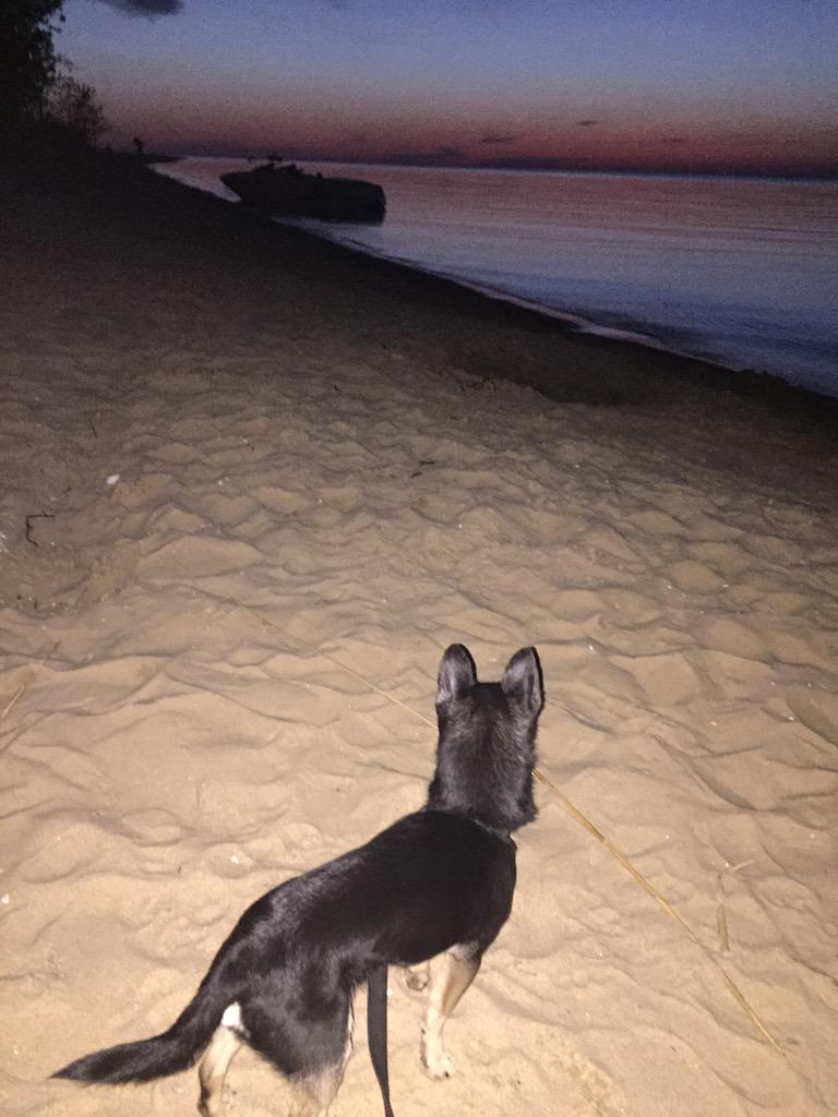 ReemJundy's tweet photo. Michigan has so much beauty.<3 #caseville @SusuTobia @RamzySweis http://t.co/U9LDxHW67r