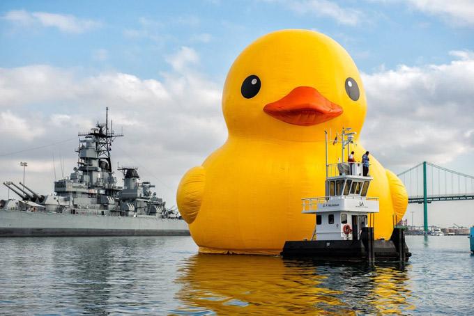 Oh man that's alotta duck! #Philly #shipsinpics #TallShipsFestival tinyurl.com/nuzh58p