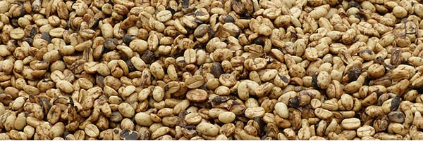 YourCafeNeo's tweet photo. Can #coffee waste act as a superfood ingredient? http://t.co/Nk6LseqzW0 #health http://t.co/kALpuAGhkF