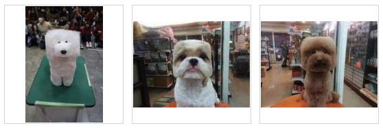 Yahoo 検索 A Twitter 四角カット が検索急上昇 犬の顔を四角くカットするスタイルがかわいいと話題になっています 台湾で流行っているそうですよ 詳しくはコチラ W もふ Http T Co Lxdtvjmloh Dog Puppy Http T Co Xwfkbq1d8o