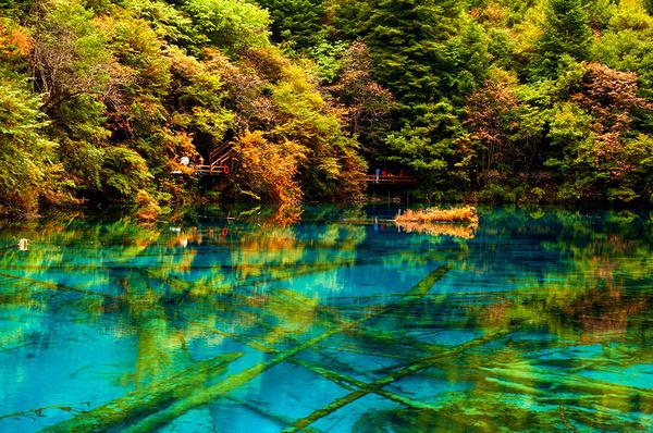 yooha111's tweet image. 