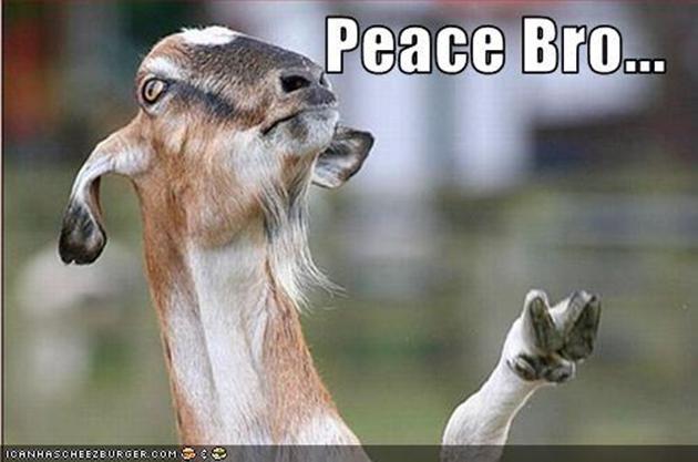 GOATSarebetta tweet picture