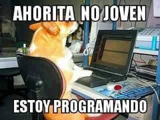 joao_mt1's tweet image. #Longnight #IamProgrammer