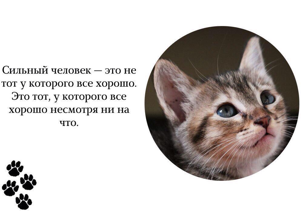 Алферова Юля  tweet media
