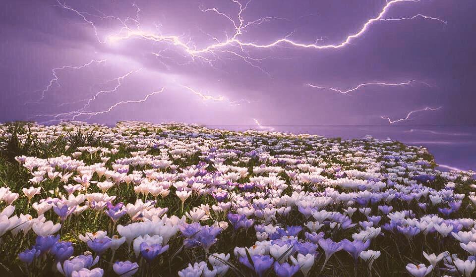 ma20142014's tweet photo. السعداء هم الذين لا يتكلمون ولا يسمعون إلا أطيب الكلام وأحسنه فينتقون ألفاظهم كما يُنتقى أطيب الثمر http://t.co/PLU7bPjHq1