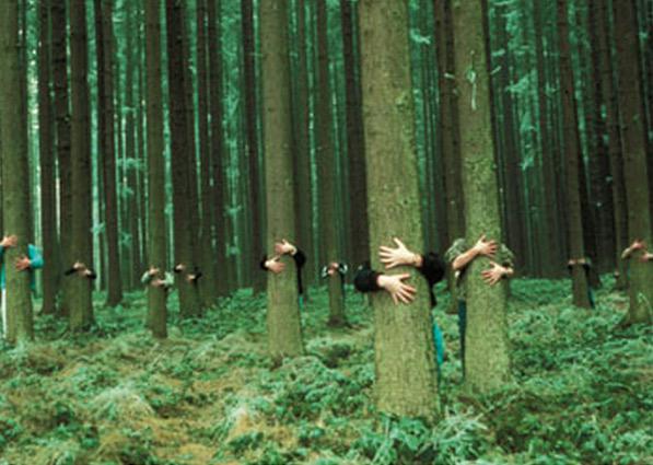 Emerdaughter's tweet photo. Transcendentalism squad hugging trees 🌳❤️🌎 http://t.co/xtkhWw2w7M