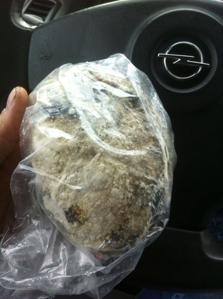 Onderweg naar Ecomare om onze opgeviste steen te laten onderzoeken. Zou het echt Amber zijn? #Texel