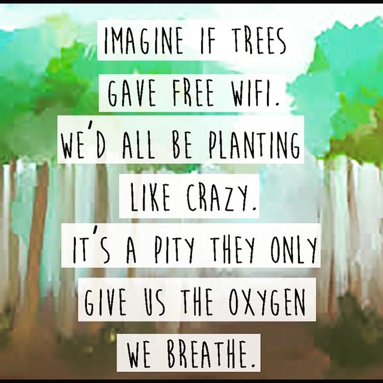 OfficialKimora's tweet image. Imagine... #PictureThat🙌🏼☀️🍀🌟✨💫